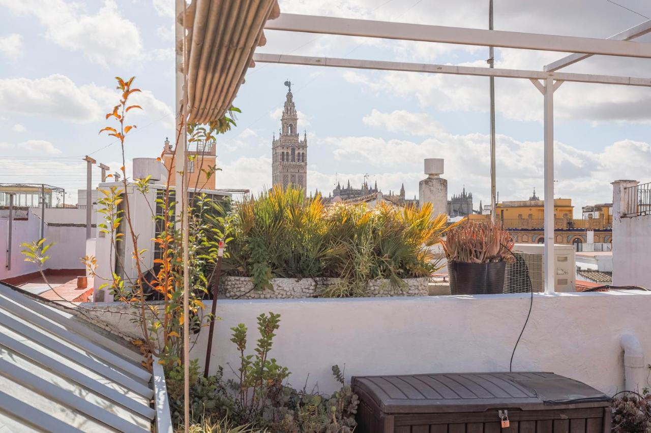 Appartement San Isidoro 12 Nuevo *